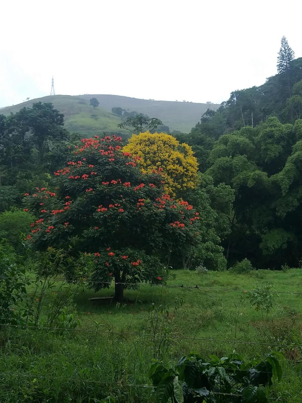Fazenda Piloes Villa Petropolis  Ngoại thất bức ảnh