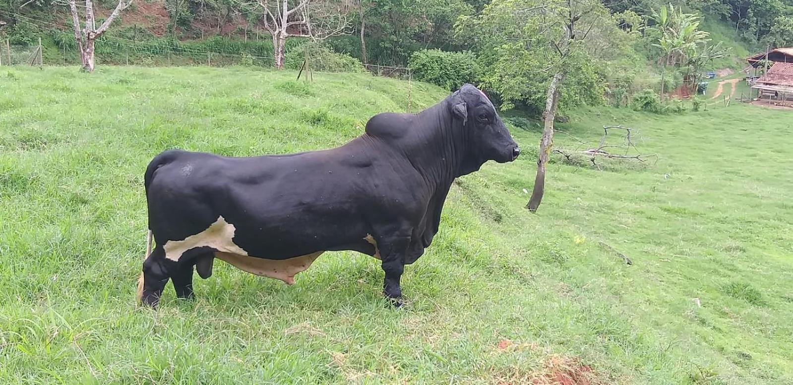 Fazenda Piloes Villa Petropolis  Ngoại thất bức ảnh
